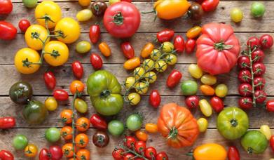 The Fridge Delicatesan, Dorchester, Dorset