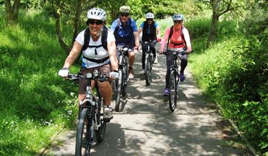 4 cyclists