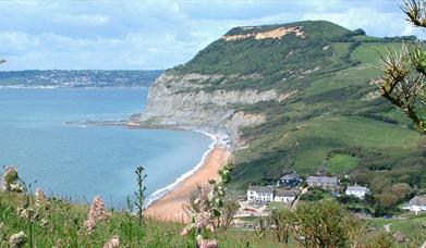 Golden Cap in Dorset - the highest point on the south coast of the UK