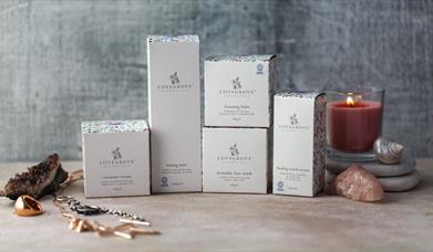 Lovegrove Essentials