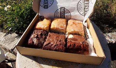 A Spoonful of Honey, Dorset