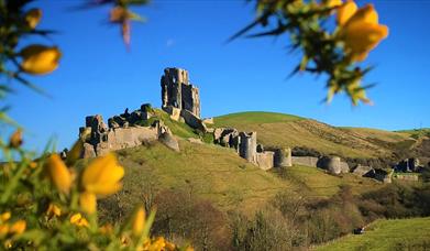 Corfe Castle, Dorset