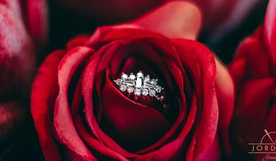 Diamond ring in a red rose