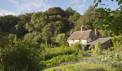 Hardy's Cottage - Thomas Hardy's birthplace (photo credit National Trust Images/Chris Lacey)