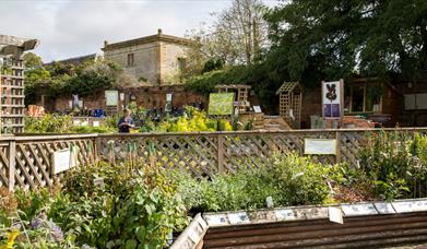 Castle Gardens, Sherborne in Dorset