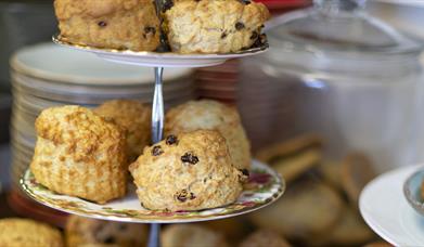 Cakes and pastries at The Walled Garden Restaurant, Castle Gardens, Sherborne in Dorset
