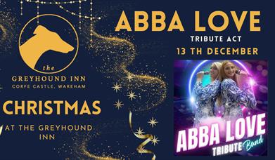 ABBA tribute night poster