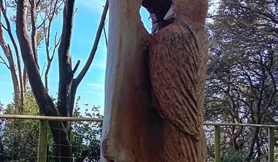 Wooden sculpture of a woodpecker at Steamer Point Nature Reserve in Christchurch, Dorset