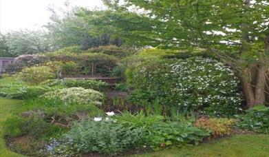 Fordingbridge Open Gardens