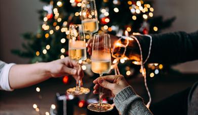 a group cheering with prosecco and a blurred out christmas tree behind
