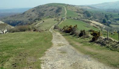 Great Wessex Way, Dorset