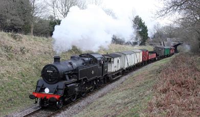 Spring Steam Gala