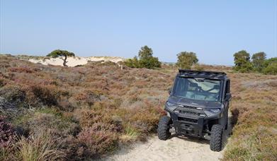 An All Terain Vehicle (ATV) parked in heathland.