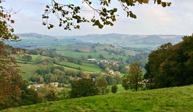 Axevale Caravan Park