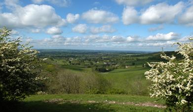 Rolling green fields in Dorset, photo credit Mark Simons