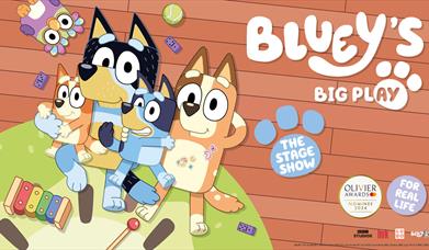 Bluey's Big Play