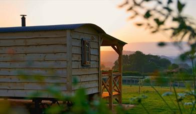 Loose Reins - Cedar Cabin with stunning views