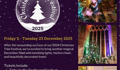 Christmas Tree Festival 2025