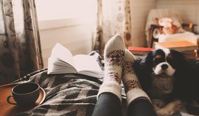 Cozy day with cup of hot tea, book and sleeping dog. The dog is brown, black and white and you can see the person's feet with thick socks and part of