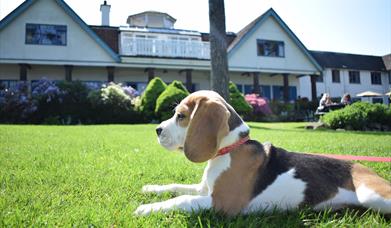 Knoll House Hotel in Studland, Dorset