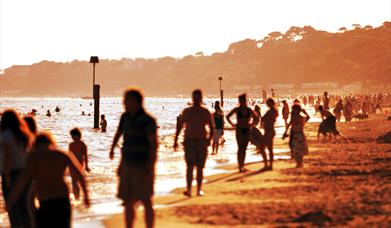 durleychine, derley chine, durlee chine,