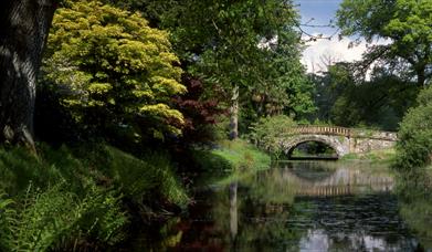 Eleanors Bridge at Minterne Gardens, Dorset