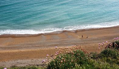 The pebble beach at Eype in Dorset viewed from above.