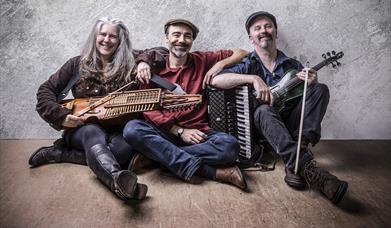 Firelight Trio band members