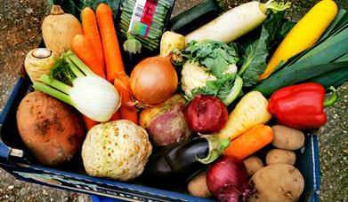 Fresh and Fruity Ltd