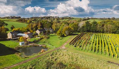 Furleigh Wine Estate