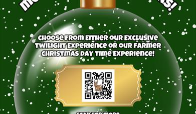 Christmas Tickets