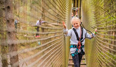 Go Ape Moors Valley
