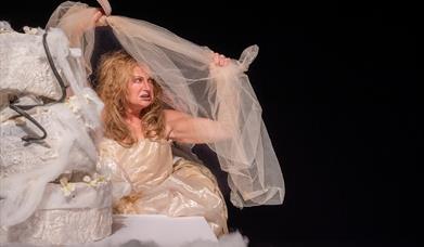 Heather Alexander as Miss Havisham