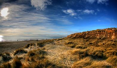 sandy beach, beach, blue sky, cliff side, cliffs, beach grass