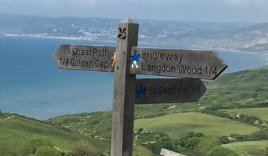 Wooden signpost for walking and cycling routes in Dorset