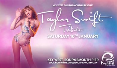 Taylor Swift Tribute Poster