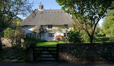 A white walled, thatched roof cottage on a sunny day. The garden has grass and a few trees and is enclosed by a brick wall and gate.