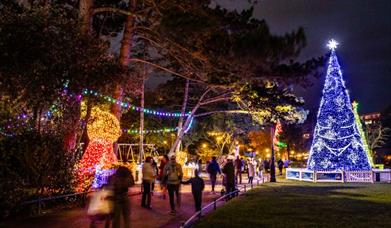 Lit up giant teddy bear and walk with with festive lights