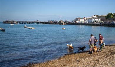 Monkey Beach in Swanage copyright Lyons Photography