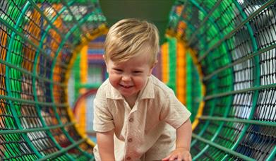 Farmer Palmer's Farm Park