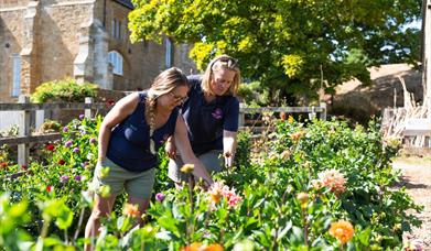 Abbey Farm Flowers