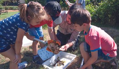 Children gathered around a pond dipping net with a Moors Valley Ranger, examining the pond life scooped from the pond.