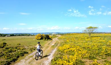 Cycling with Cyclexperience in the Isle of Purbeck, Dorset
