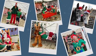 Festive Fun Days on Swanage Pier