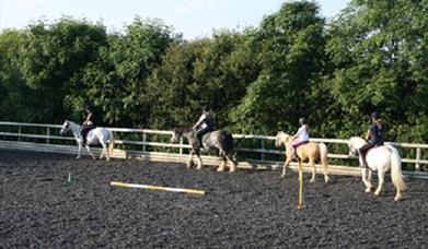 Rosewall Equestrian