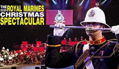 Royal Marines Christmas Spectacular