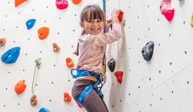 Seals Cove - Bridport