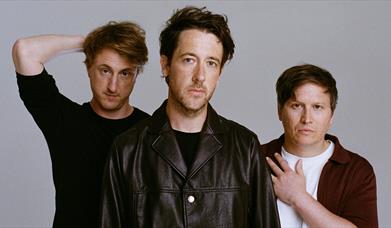 The Wombats