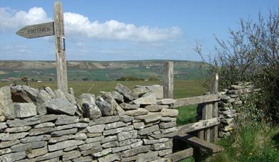 View from Acton to the Purbeck Ridge