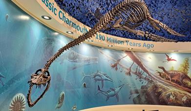 Charmouth Heritage Coast Centre